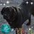 Bird Buehrle's profile image