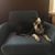 Tom Hailey's profile image
