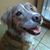Hilliard Barbara's profile image