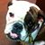 Bonnie Whitten's profile image