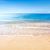 Dianne Piehler Nelson's profile image