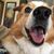 Tina Loudermilk's profile image