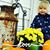 Jennifer Keely Vermaat's profile image