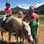 Rebekah DelGrande's profile image