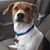 Russ Suemnicht's profile image