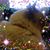 Jennifer Black's profile image
