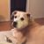 Helen Gillick Moritz's profile image