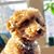 Pups Najera's profile image