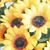 Julie Sessions's profile image