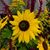 Maureen Gates's profile image