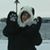 Candi Guilbault's profile image