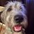 Earl Doc Reichard's profile image