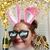 Erna Gomez's profile image