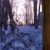 Deb Huntley's profile image