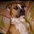 Elizabeth Malley's profile image