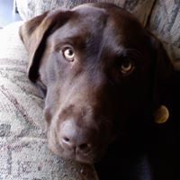 Robert D. Scott's profile image