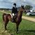Carey Jeanne Woodruff's profile image