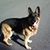 Virginia French Belanger's profile image