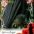 Kathleen Onhasey's profile image