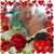 Linda Bailey's profile image