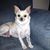 Denise Boklage's profile image