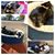 Ann Woolley's profile image