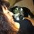 Denise Vacca's profile image