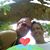 Tammy N Tarry Holt's profile image
