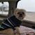 Char Butterfield's profile image