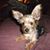 Melba Tate's profile image