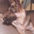 Dorie Price's profile image