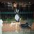 Tammie Ward's profile image