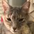Mme Renard's profile image