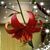 Dorothy Ryan Walsh's profile image