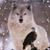Star Dashiell's profile image