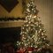 Fritzi B.'s profile image