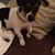 Ellyn Lynn Boyer's profile image