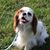 Jill Swingen's profile image