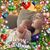 Marilyn Hawkins Siebold's profile image
