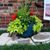 Debra Dix's profile image