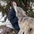 Candace Fuhrmann's profile image