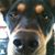 Jayme Green's profile image
