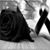 Gonzalez e Vicntor's profile image