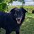 Pam Ellsworth Reeves's profile image