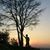 Harsha MG's profile image