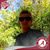 Jeffery Poffenberger's profile image