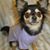 Nancy Johnson Pouder's profile image