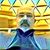 Lonny Harrison's profile image
