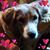 Lydia Morgan Wallace's profile image