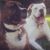 Harriet Gaffin Massimini's profile image